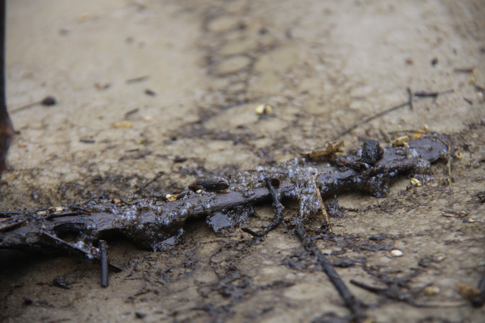 Nước biển nổi bọt đen như cà phê lan rộng vùng biển Khu kinh tế Dung Quất ảnh 7