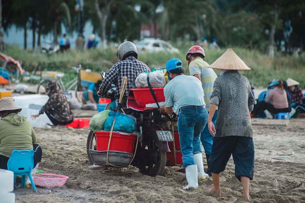Chợ cá lúc bình minh bên đường Hoàng Sa ảnh 11