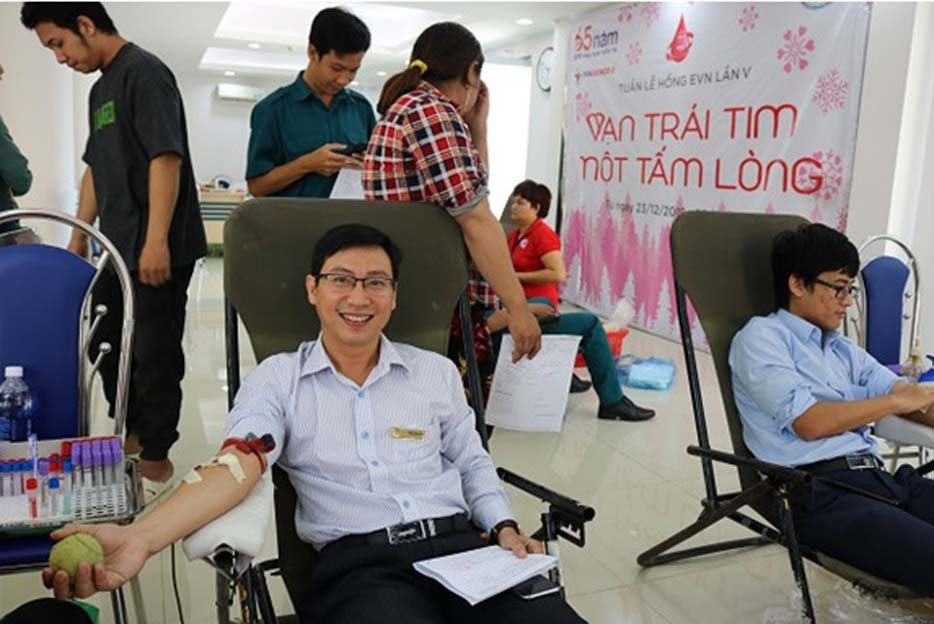 Tuần lễ hồng EVN của những người phát điện Bắc Trung Nam ảnh 3