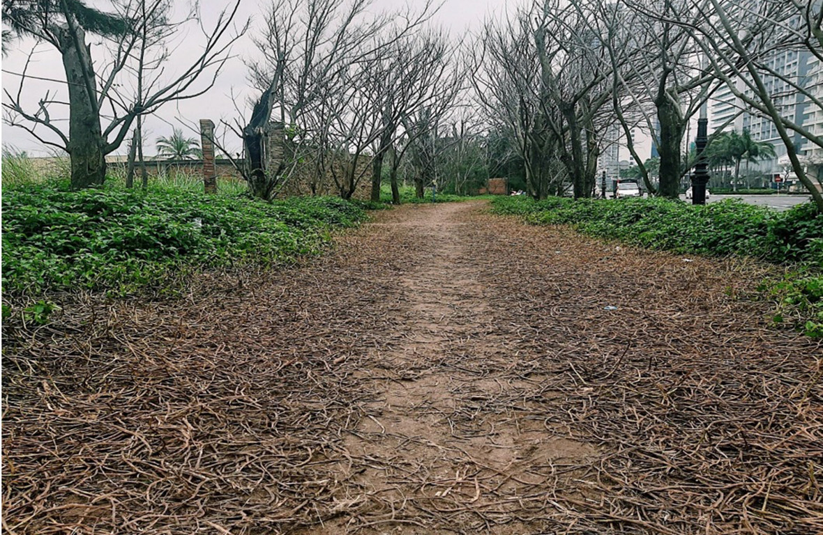 “Con đường Hàn Quốc” tại Đà Nẵng dần mất đi vẻ đẹp vốn có ảnh 3