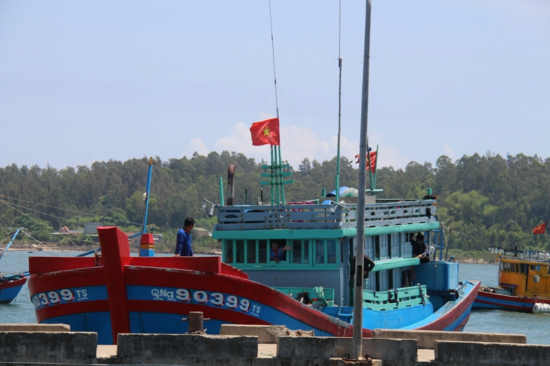 4 trong số 8 ngư dân Quảng Ngãi bị tàu Trung Quốc đâm chìm đã vào bờ an toàn ảnh 1