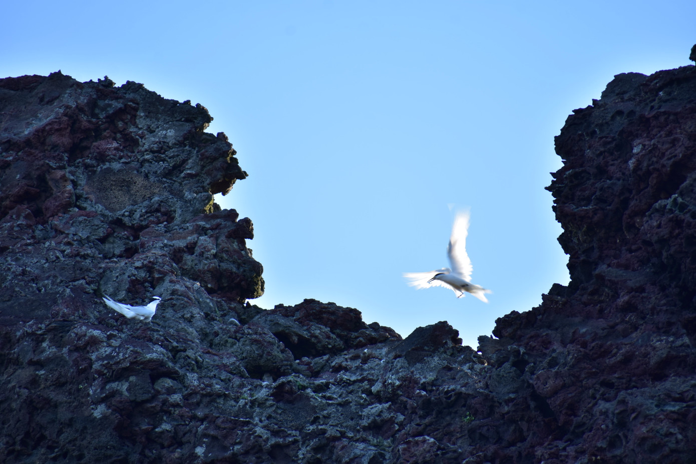 Khám phá 'hòn ngọc nhỏ' từ thiên đường rơi xuống thềm biển Đông ảnh 4