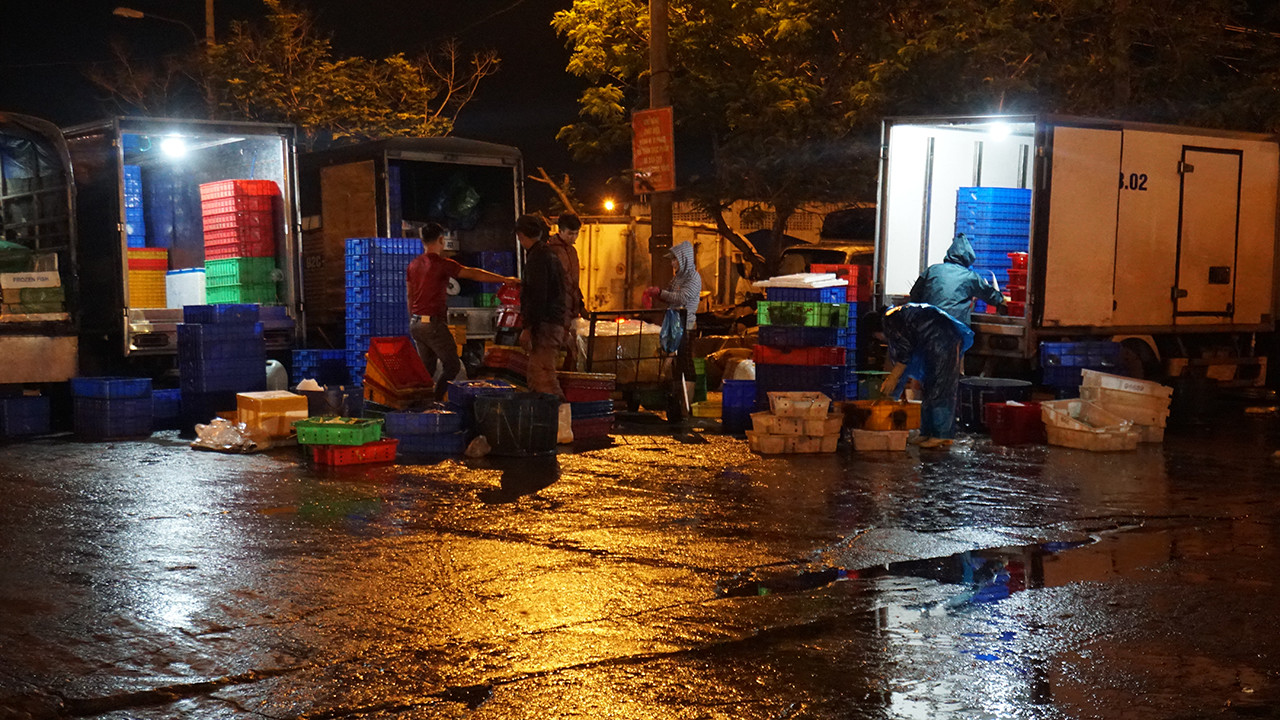 Trắng đêm mưu sinh giữa giá rét ở cảng cá lớn nhất miền Trung ảnh 9