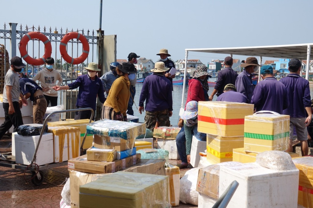  Ra vào đảo Lý Sơn bắt đầu nhộn nhịp sau 15 ngày giãn cách ảnh 4