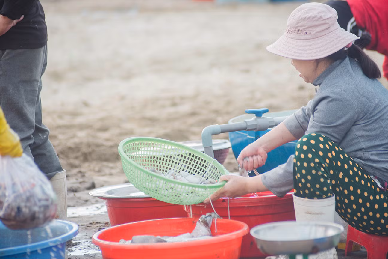 Chợ cá lúc bình minh bên đường Hoàng Sa ảnh 4
