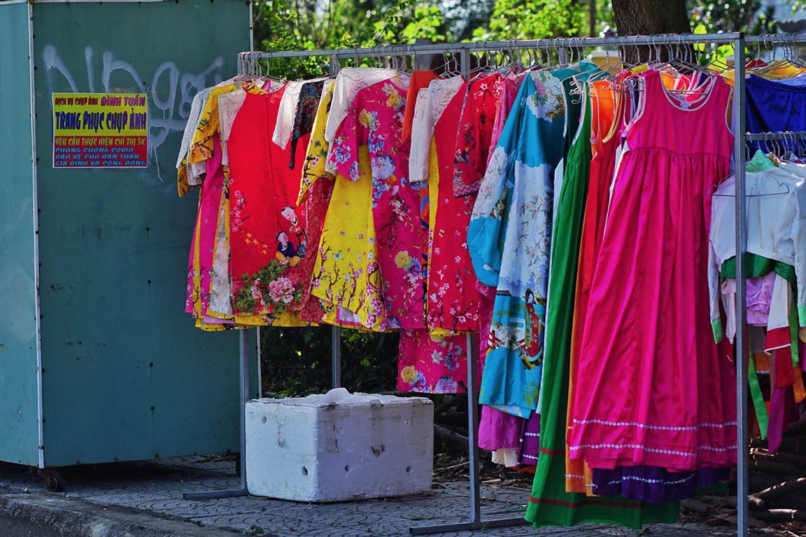 Đẹp nao lòng vườn cúc họa mi 'công nghệ sinh học' tại Đà Nẵng ảnh 3