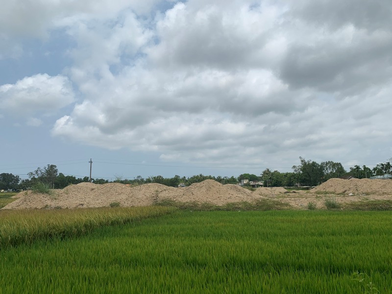 San lấp trái phép ruộng lúa của dân, doanh nghiệp bị phạt 300 triệu đồng ảnh 4