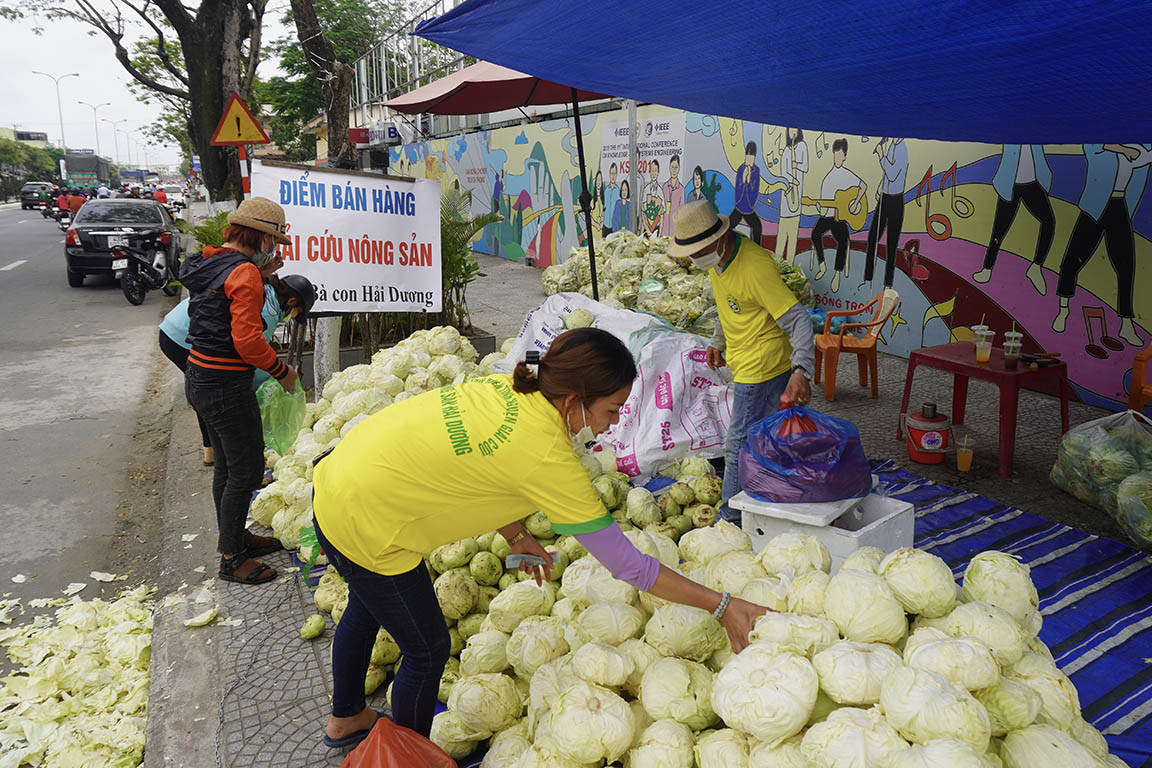 Tình nguyện viên Đà Nẵng giải cứu hàng trăm tấn nông sản Hải Dương ảnh 2