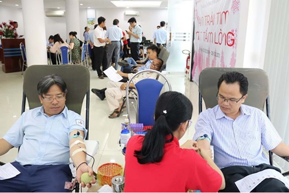 Tuần lễ hồng EVN của những người phát điện Bắc Trung Nam ảnh 2