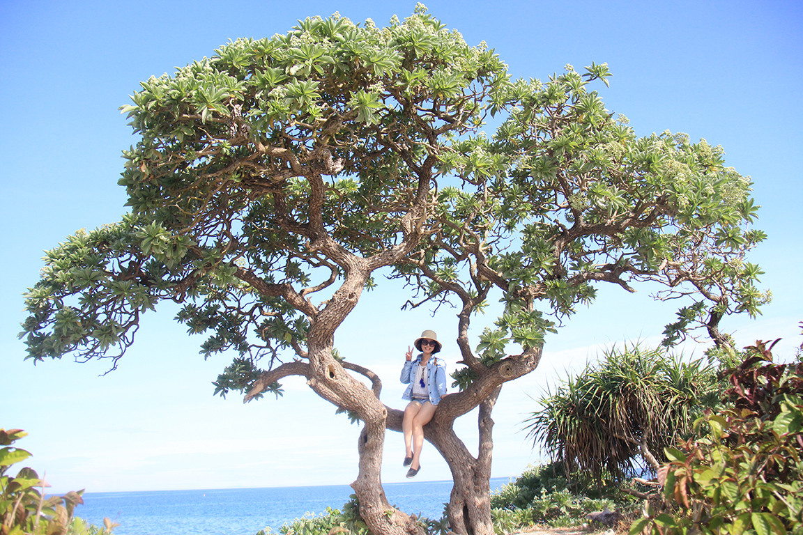 Khám phá 'hòn ngọc nhỏ' từ thiên đường rơi xuống thềm biển Đông ảnh 11