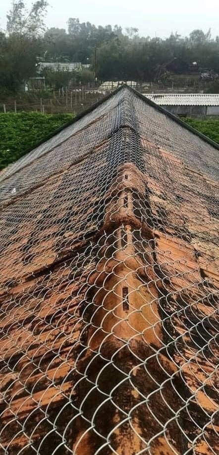 Mưa bão trắng trời Quảng Bình, nguy cơ ngập lụt trên diện rộng ảnh 3