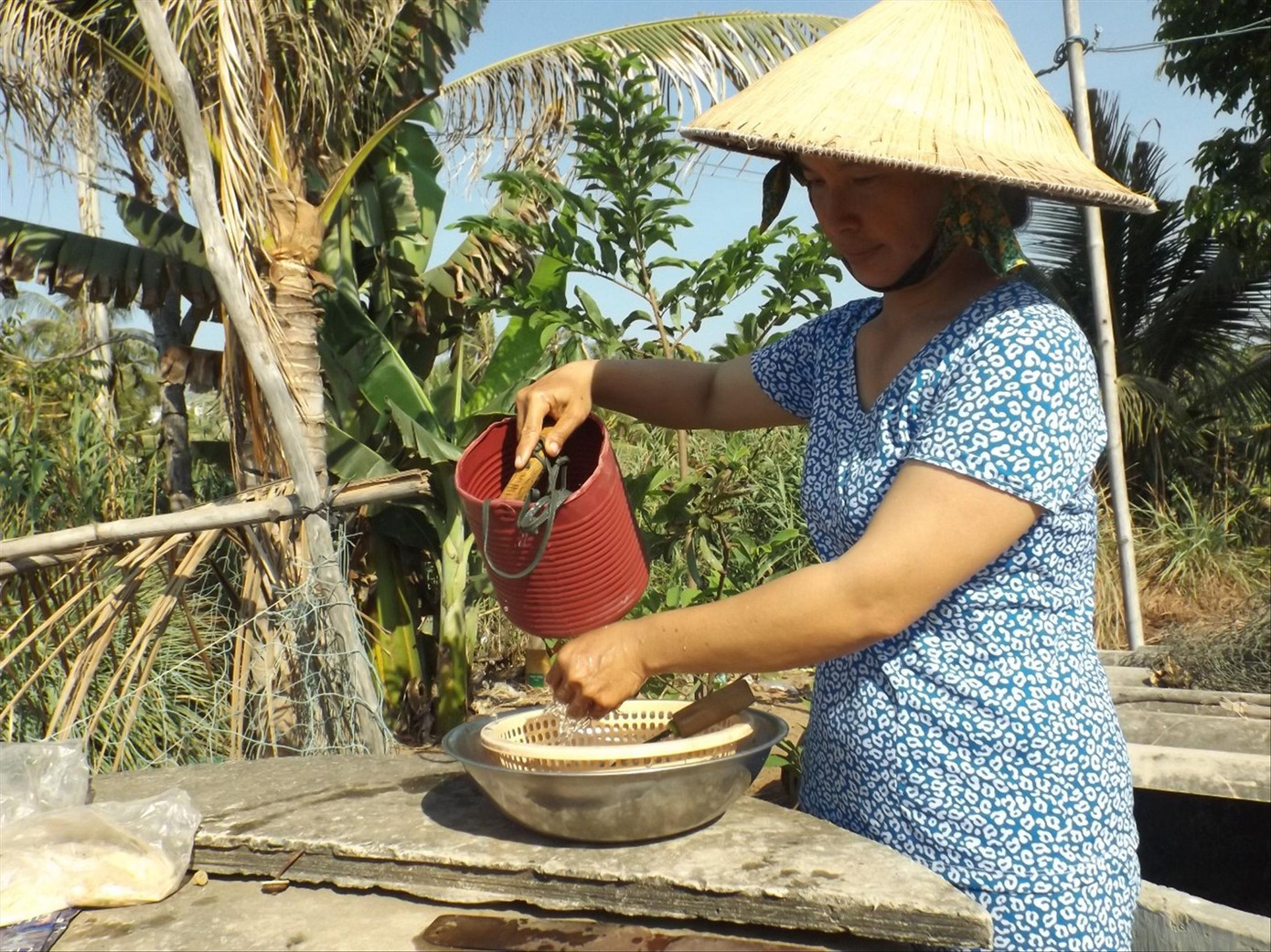 Hoa, cây kiểng phập phồng, lo mất Tết ảnh 1