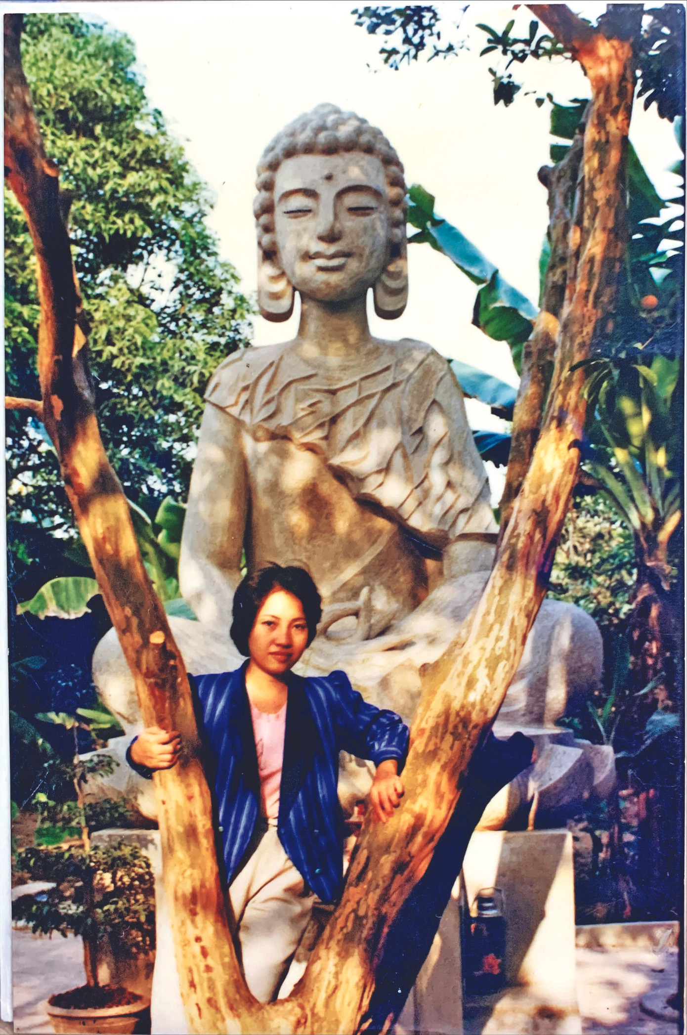 Nguyễn Huy Thiệp - như những ngọn gió ảnh 3