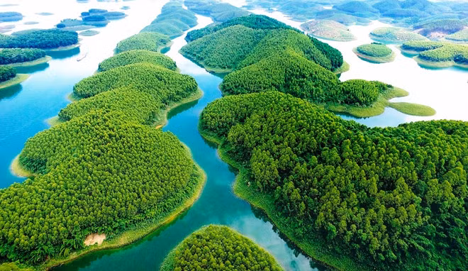 Mỹ áp thuế tôn thép 'khủng', vì sao Hoa Sen vẫn vượt qua? ảnh 3