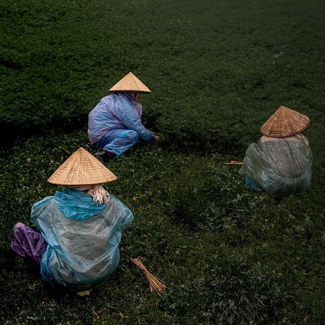 Chiều mưa ở Việt Nam - Ảnh: @kat.km Xem loạt ảnh của nhà báo Mỹ sẽ hiểu tại sao người nước ngoài “phải lòng” Việt Nam ảnh 6
