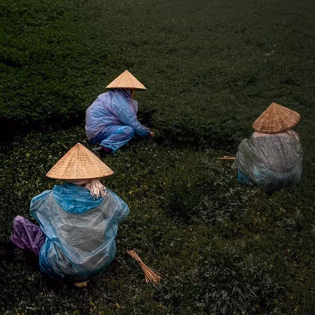 Xem loạt ảnh của nhà báo Mỹ sẽ hiểu tại sao người nước ngoài “phải lòng” Việt Nam ảnh 6