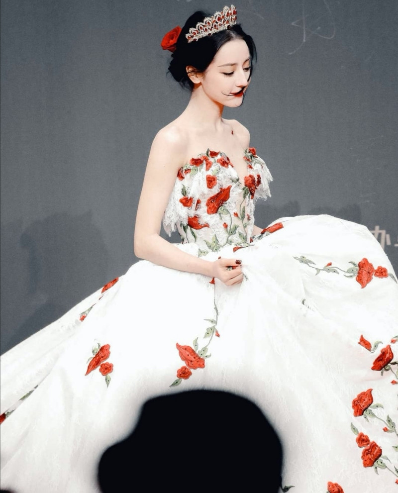 Địch Lệ Nhiệt Ba xinh đẹp như “công chúa hoa hồng” trên siêu thảm đỏ Tinh Quang Đại Thưởng ảnh 5