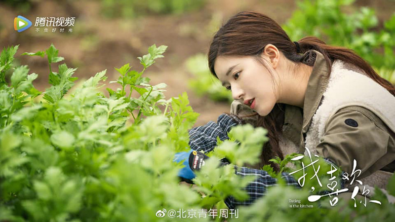 Mặt Trời bước sang Thiên Bình giúp 12 chòm sao tận hưởng mùa Thu một cách cầu kỳ, tinh tế ảnh 5