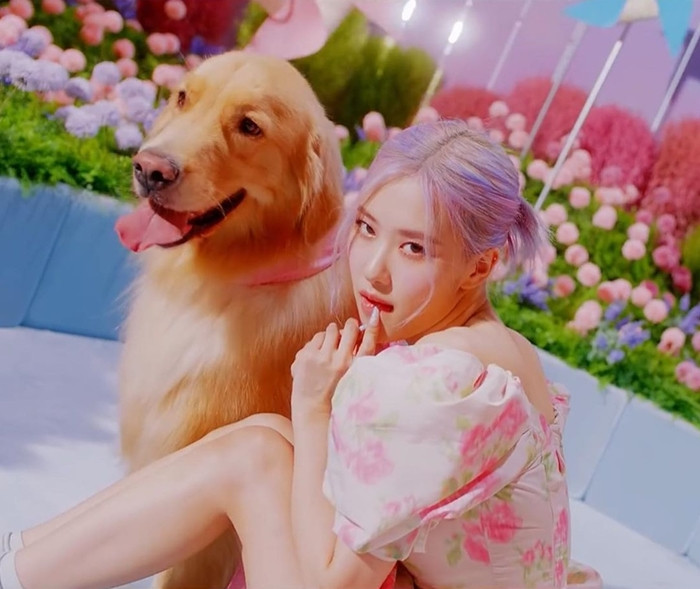 Diện váy Moschino xinh như công chúa nhưng Rosé BLACKPINK chỉ dùng mỹ phẩm bình dân ảnh 4