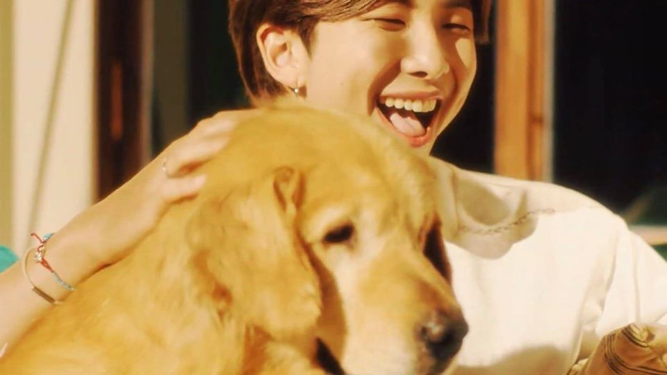 BTS ôn nhu dịu dàng đúng chuẩn “boyfriend” trong MV tiếng Nhật "Stay Gold" ảnh 7