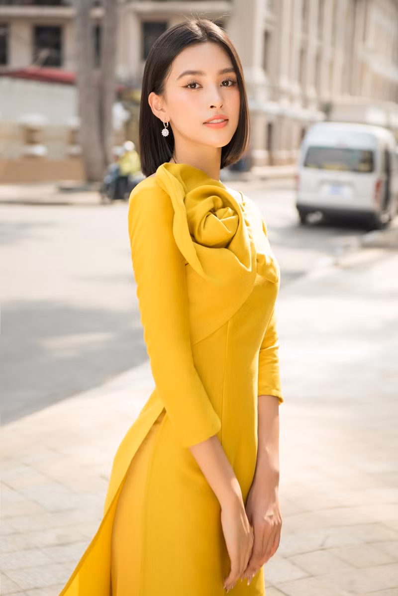 Hoa hậu Tiểu Vy khoe vẻ đẹp hiện đại trong bộ sưu tập áo dài Tết của Hoa hậu Đỗ Mỹ Linh ảnh 6
