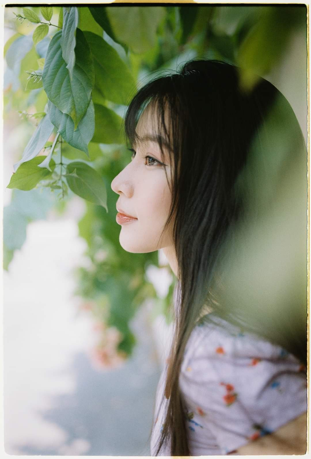 An Khương - người đẹp miền Trung của Hoa Hậu Việt Nam sở hữu mái tóc vạn người mê ảnh 4