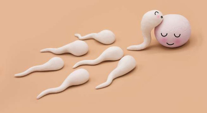 Liệu đồ ăn hàng ngày có khả năng làm thay đổi mùi của tinh dịch không? ảnh 2
