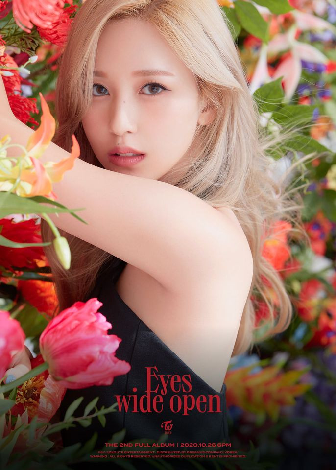 TWICE diện loạt váy đen đắt giá ở ảnh teaser album mới nhưng vẫn bị netizen Hàn chê bai ảnh 12