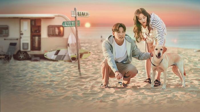 Tuần này, Trăng Rằm Thiên Bình mang đến cảm xúc gì cho các mối quan hệ của 12 chòm sao? ảnh 3