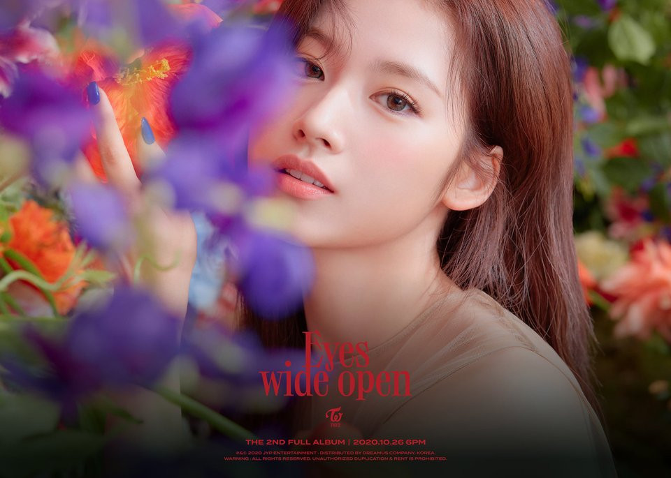 TWICE diện loạt váy đen đắt giá ở ảnh teaser album mới nhưng vẫn bị netizen Hàn chê bai ảnh 8