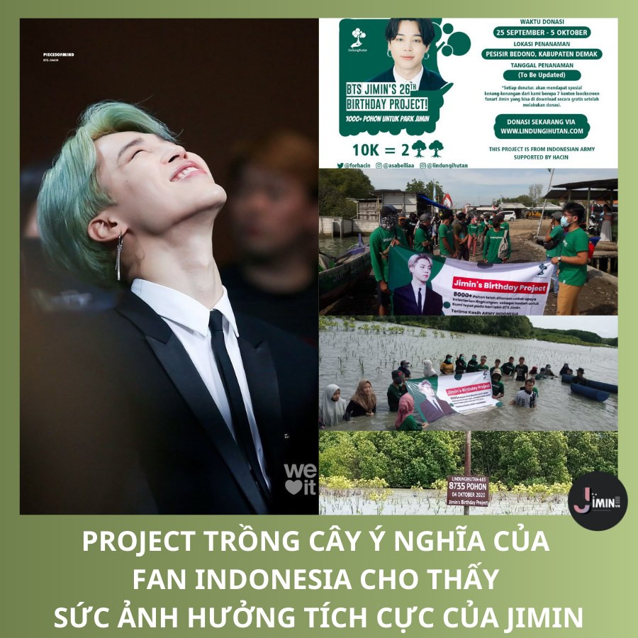 Fan của Jimin (BTS) có thể mua được hẳn một ngôi sao trên vũ trụ để tặng sinh nhật idol? ảnh 4