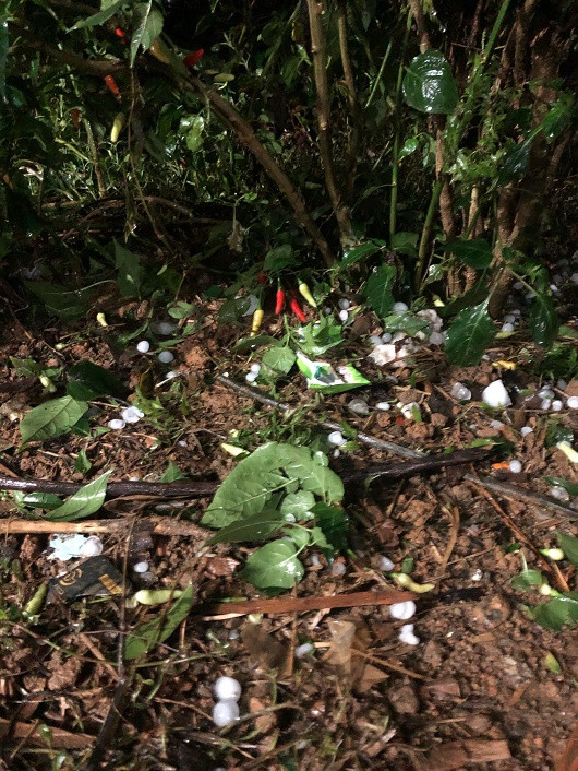 Kinh hoàng mưa đá to như quả trứng ở các tỉnh phía Bắc ảnh 5