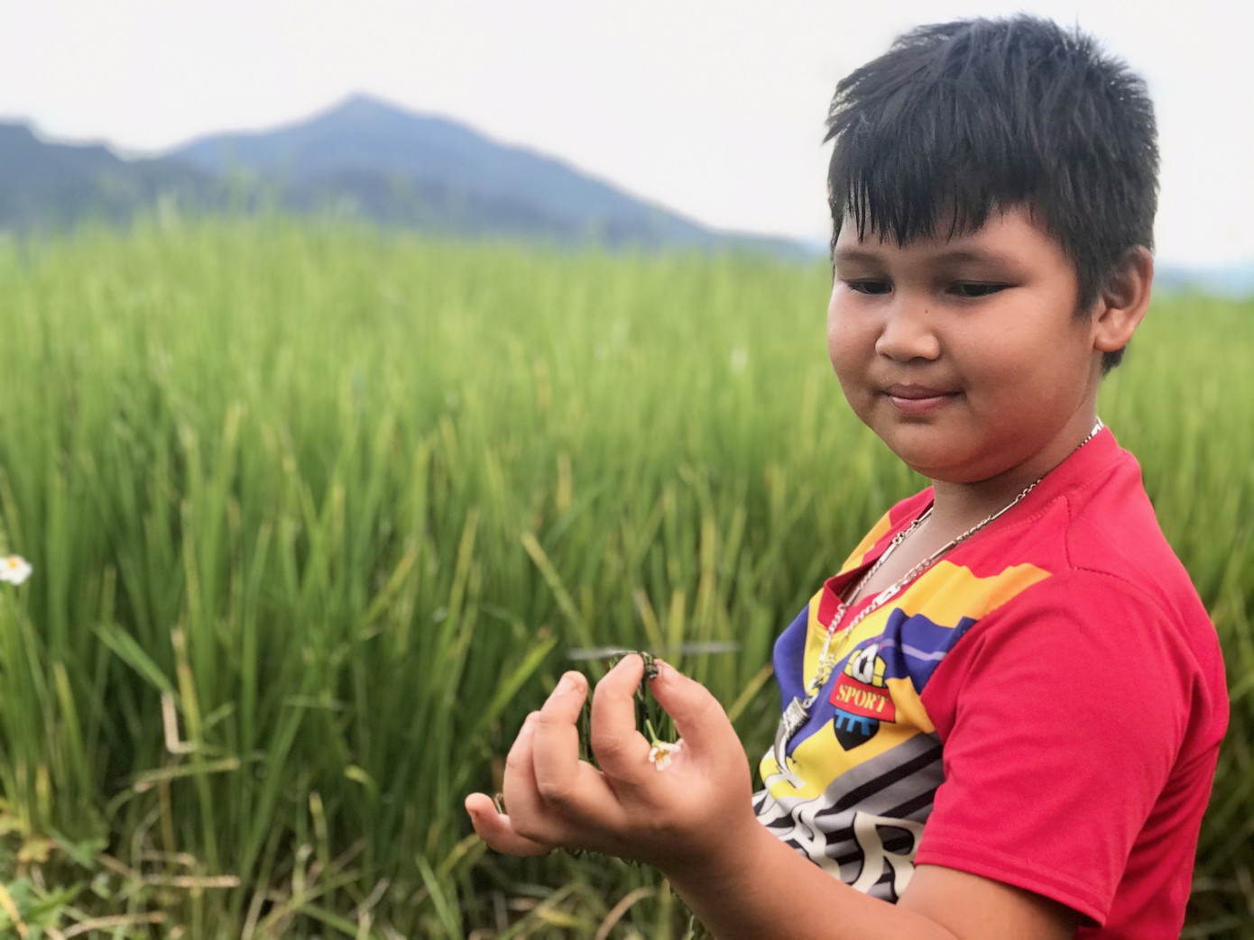 Đắm say mùa lúa Pù Luông ảnh 9