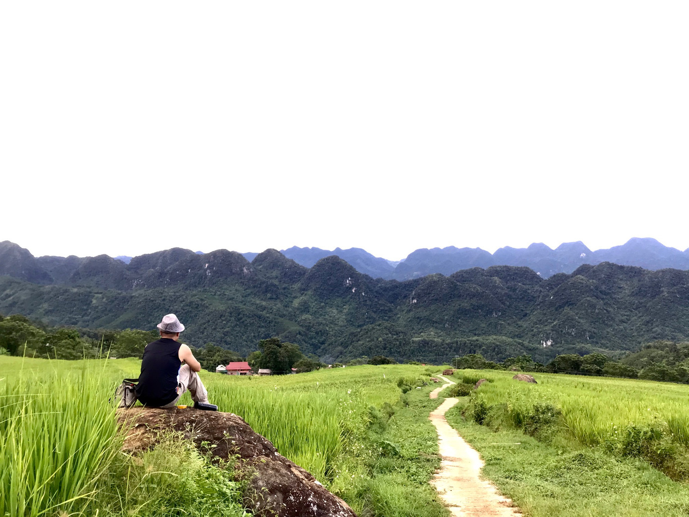 Đắm say mùa lúa Pù Luông ảnh 4