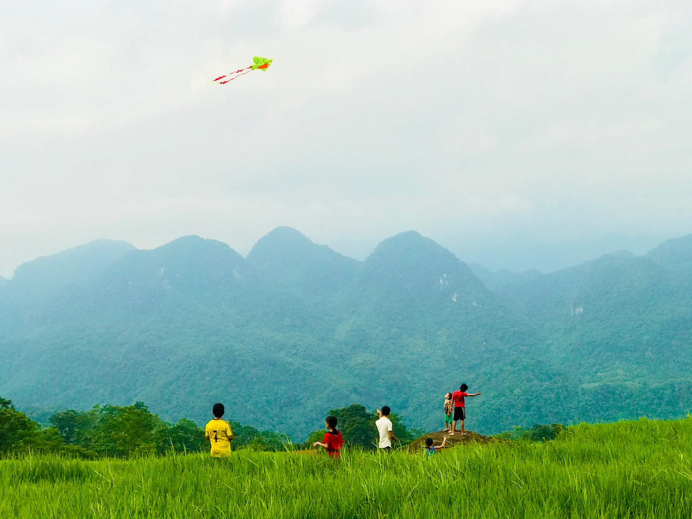 Đắm say mùa lúa Pù Luông ảnh 3