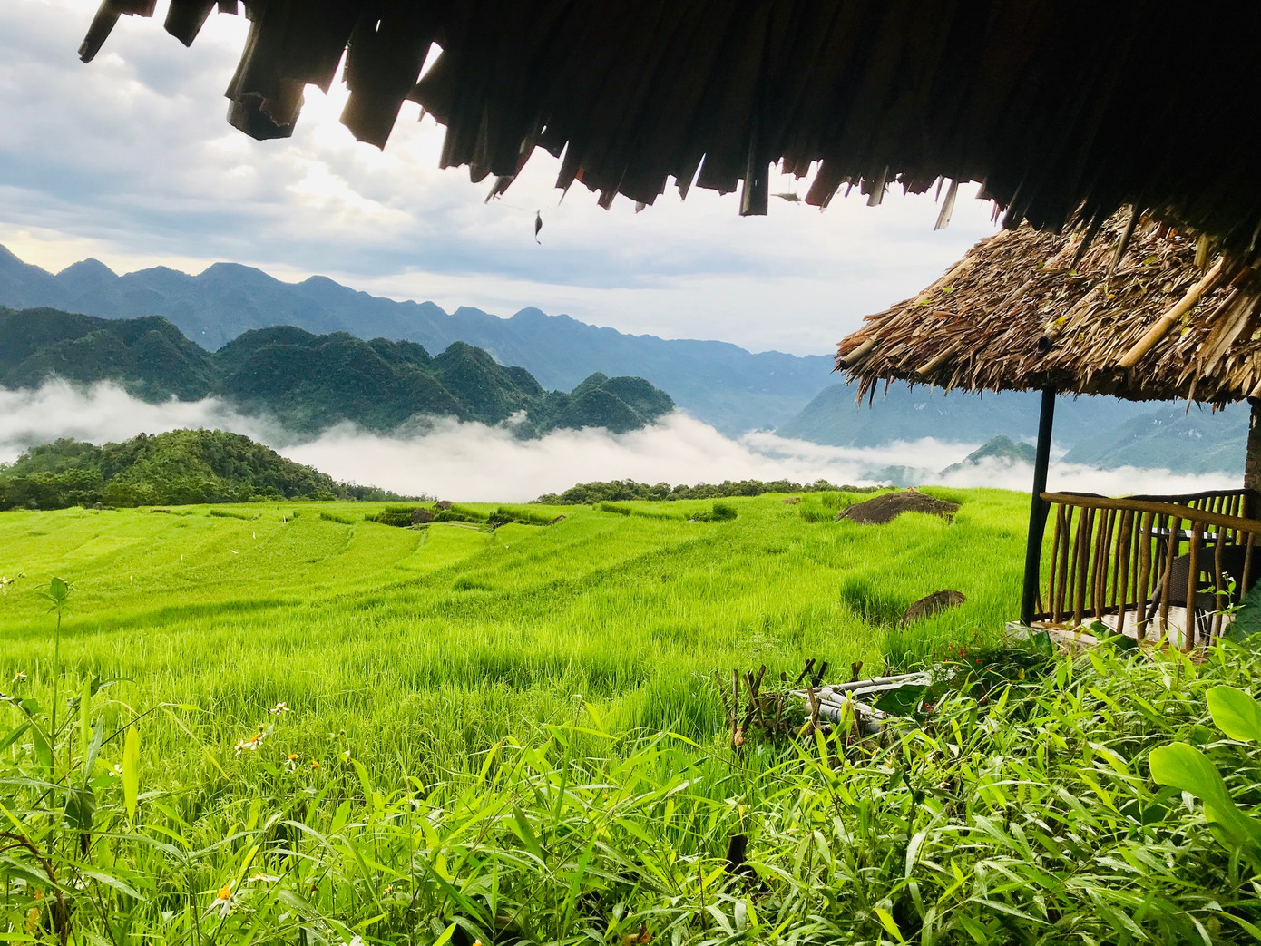 Đắm say mùa lúa Pù Luông ảnh 2