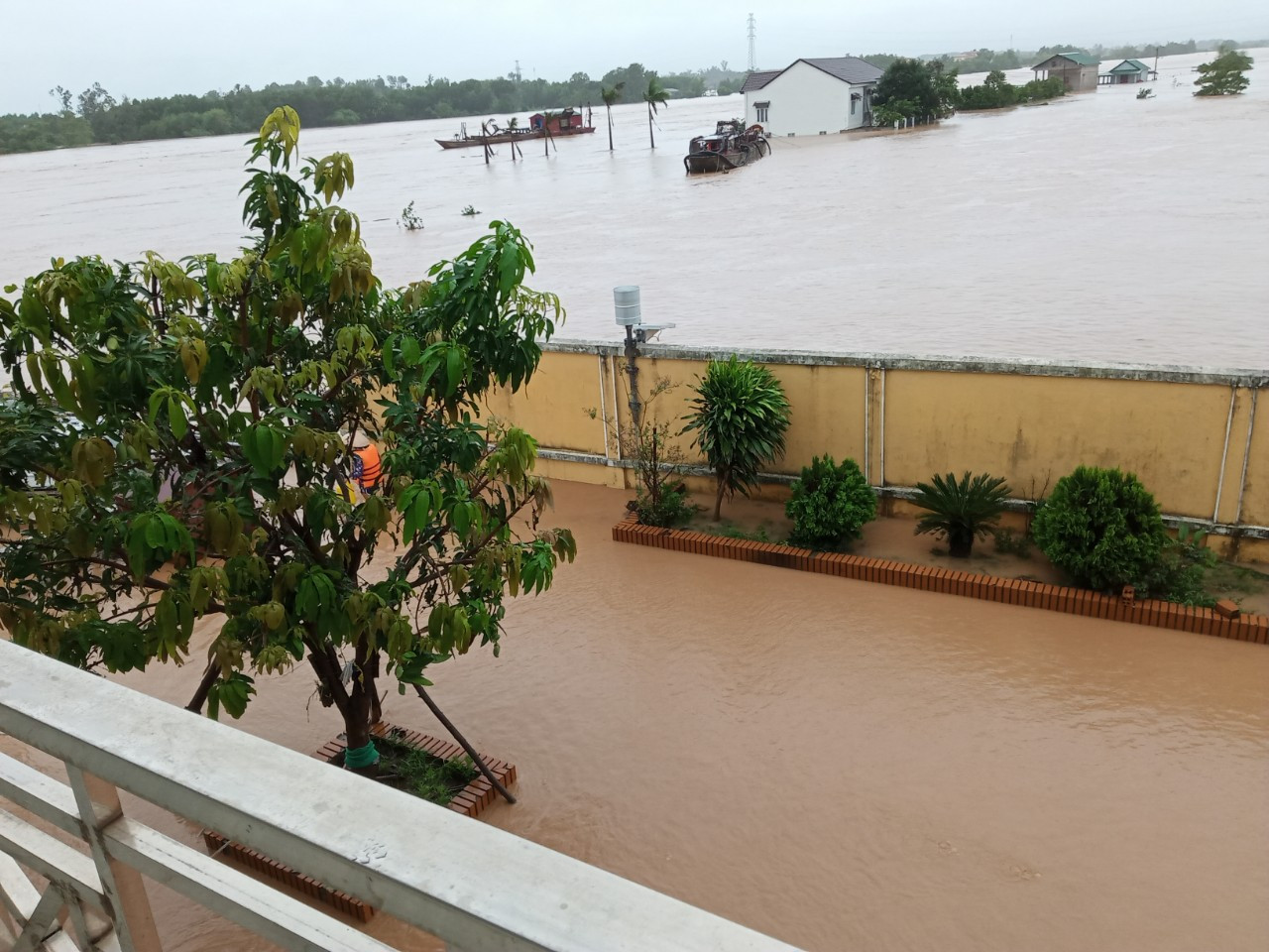 Mưa lũ chưa qua, Biển Đông lại hình thành vùng áp thấp mới ảnh 1