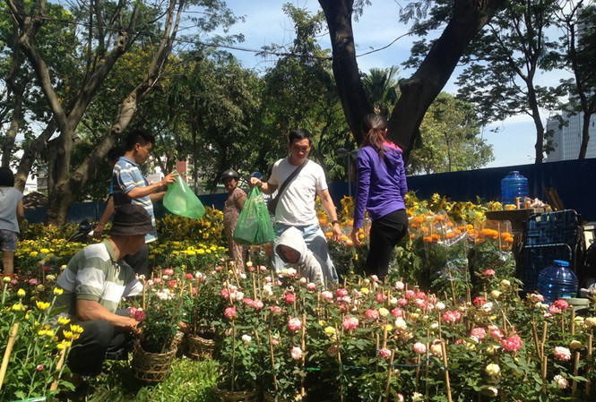 Thời tiết trên cả nước dịp Tết ảnh 1