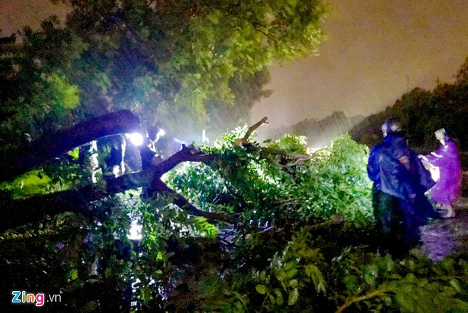 Bão giật cấp 12 đổ bộ Quảng Ngãi - Phú Yên, 48 người trên 4 tàu vận tải trôi neo ảnh 6