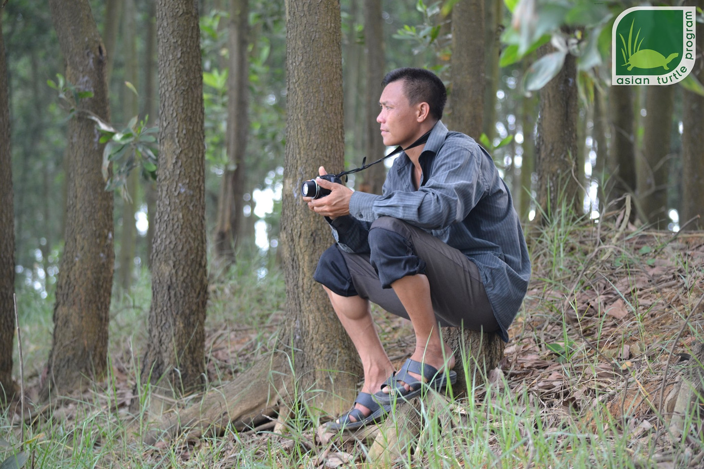 Phát hiện bất ngờ: Hai cá thể rùa Hoàn Kiếm cùng nổi lên ở hồ Đồng Mô ảnh 1