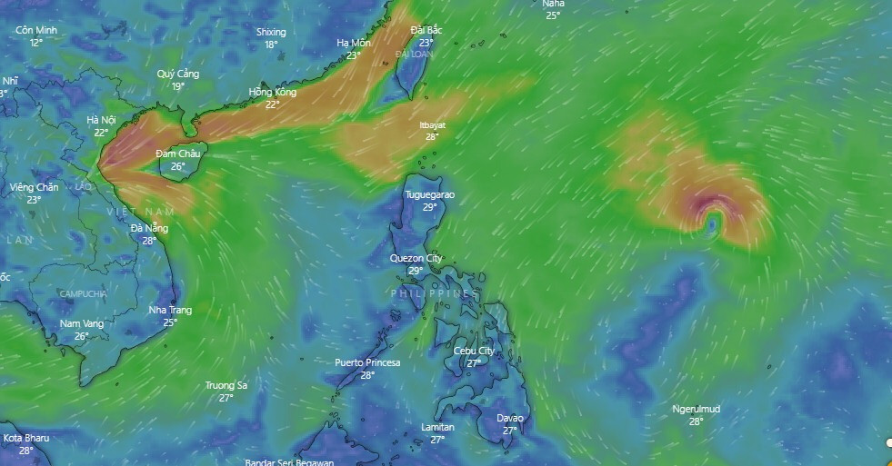 CẬP NHẬT: Tìm thấy 5 thi thể vụ lở núi khiến 11 người bị vùi lấp ở Phước Sơn ảnh 6 CẬP NHẬT: Tìm thấy 5 thi thể vụ lở núi khiến 11 người bị vùi lấp ở Phước Sơn ảnh 6