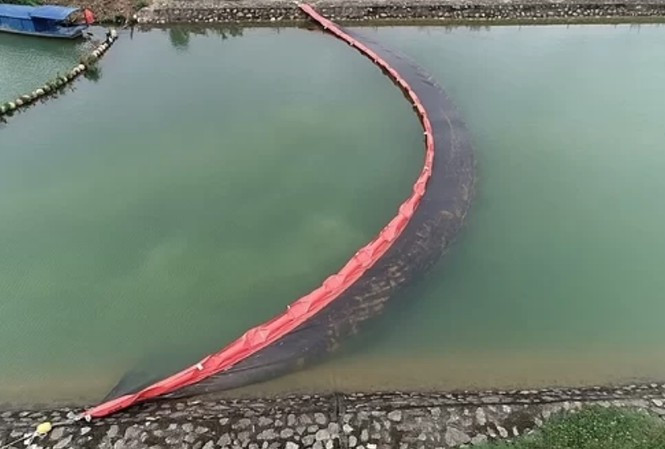 Cty Thanh Hà nói gì về thông tin 'thuê người đầu độc nước sông Đà'? ảnh 2