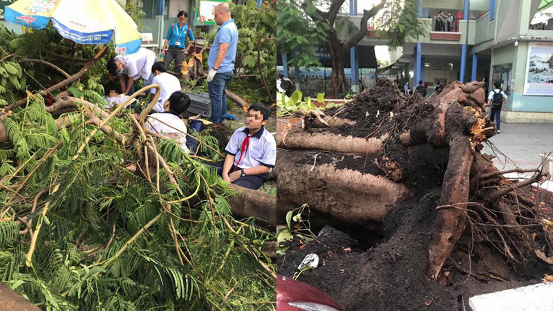 Hỗ trợ 40 triệu đồng cho gia đình nam sinh bị cây đè tử vong ảnh 2 Hỗ trợ 40 triệu đồng cho gia đình nam sinh bị cây đè tử vong ảnh 2