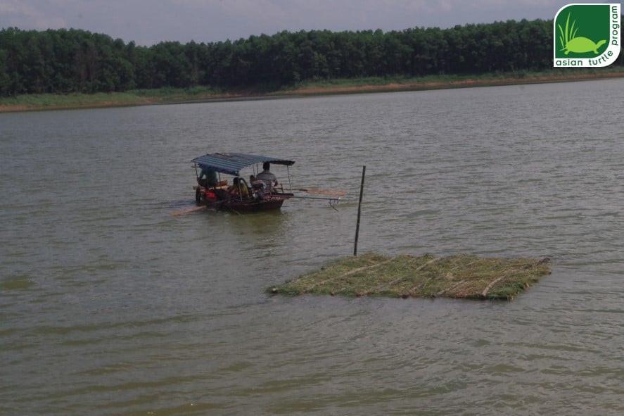 Làm bè nổi “dụ” rùa Hoàn Kiếm ảnh 2