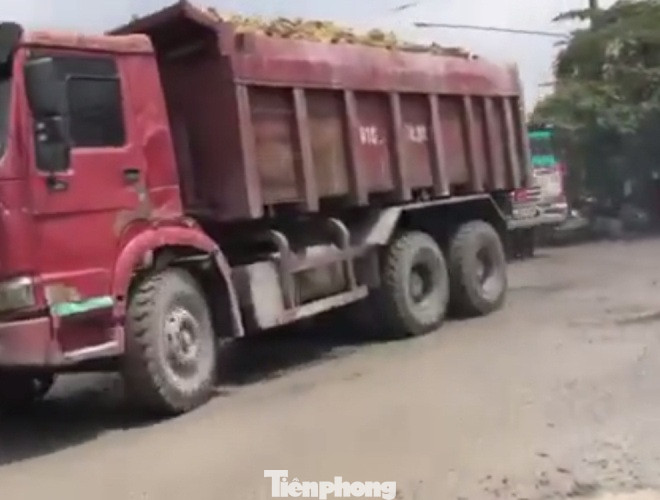 Bình Dương: Xe ben ‘hết đát’ lộng hành, cơ quan chức năng bất lực? ảnh 1