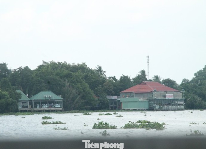 Bình Dương ‘mạnh tay’ xử lý các công trình sai phạm dọc sông Sài Gòn ảnh 2