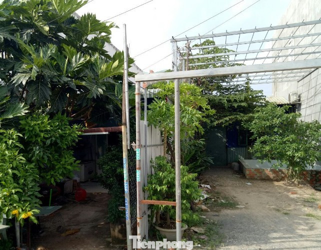 Chủ tịch phường xác nhận sai hiện trạng đất, người dân dính 'quả đắng' ảnh 3