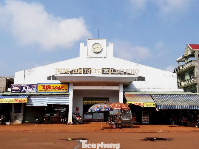 Phó Bí thư huyện dùng bằng giả từng được bao che sai phạm thế nào? ảnh 2