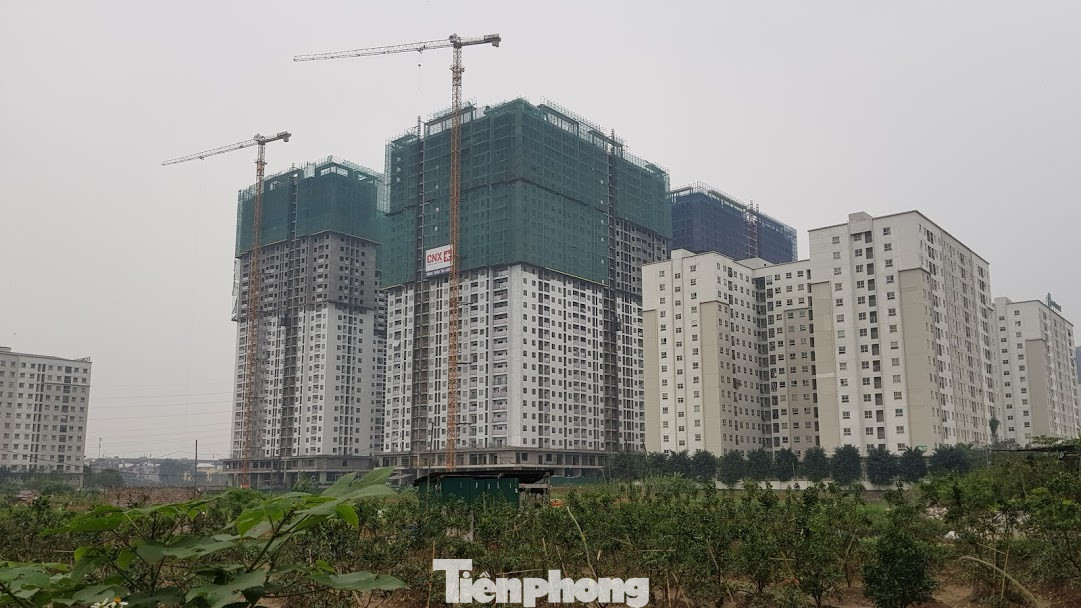 Ít chịu ảnh hưởng dịch COVID-19, bất động sản xin hỗ trợ có hợp lý? ảnh 2