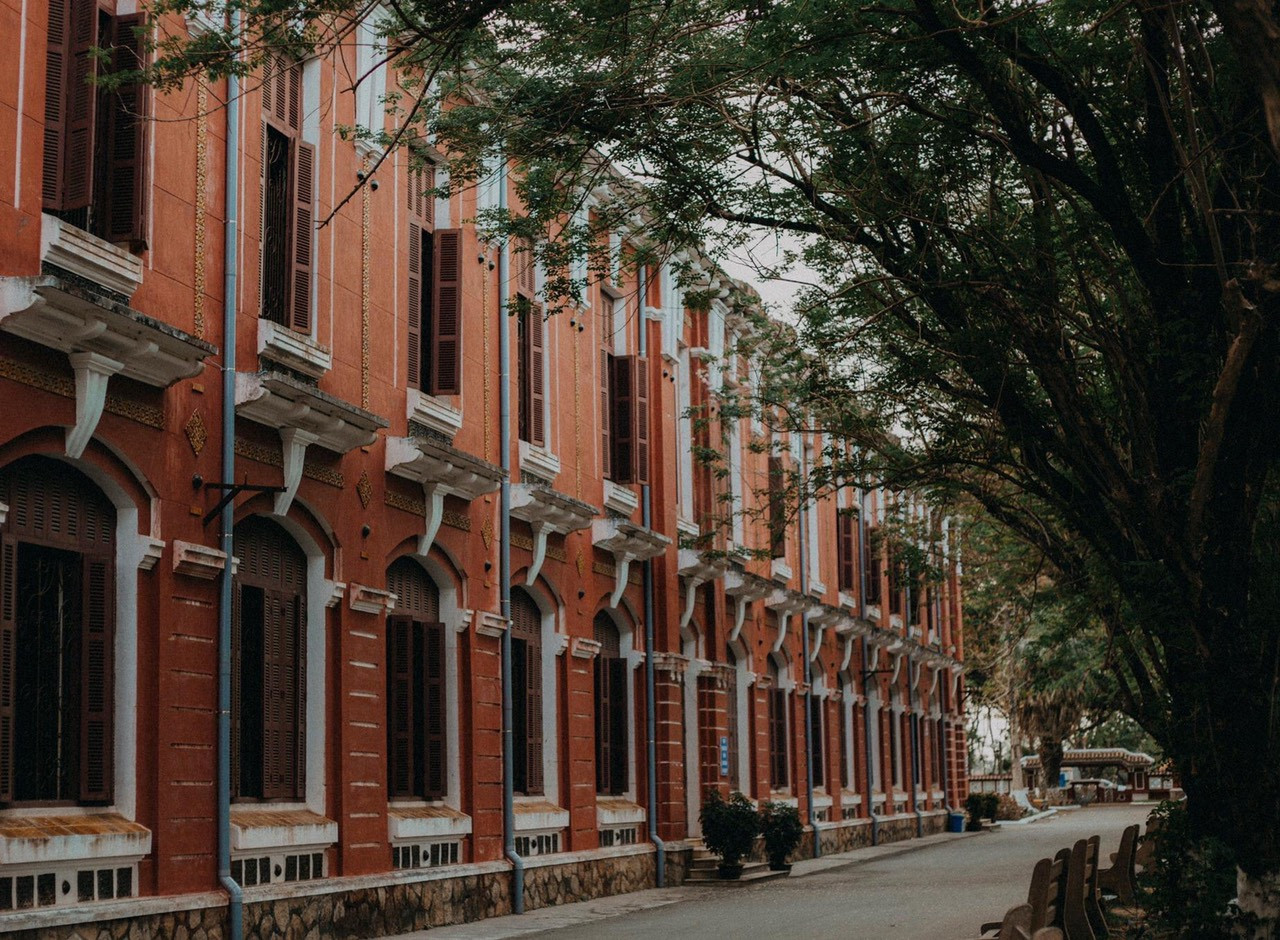 Vẻ đẹp mơ màng của nữ sinh Huế giữa mùa hoa điệp anh đào ảnh 8